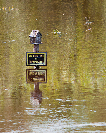 Hants County Portrait and Wedding Photographer, Shubenacadie River flooding