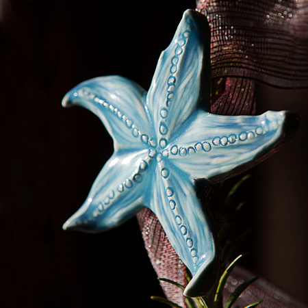 Starfish pottery purchased from Swoon Gallery and photographed by Hants County Photographer