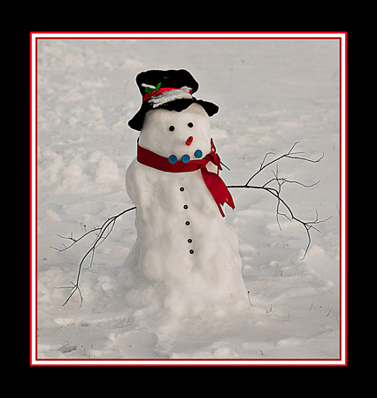 snowman in Lantz, Hants County. Lifestyle photographer