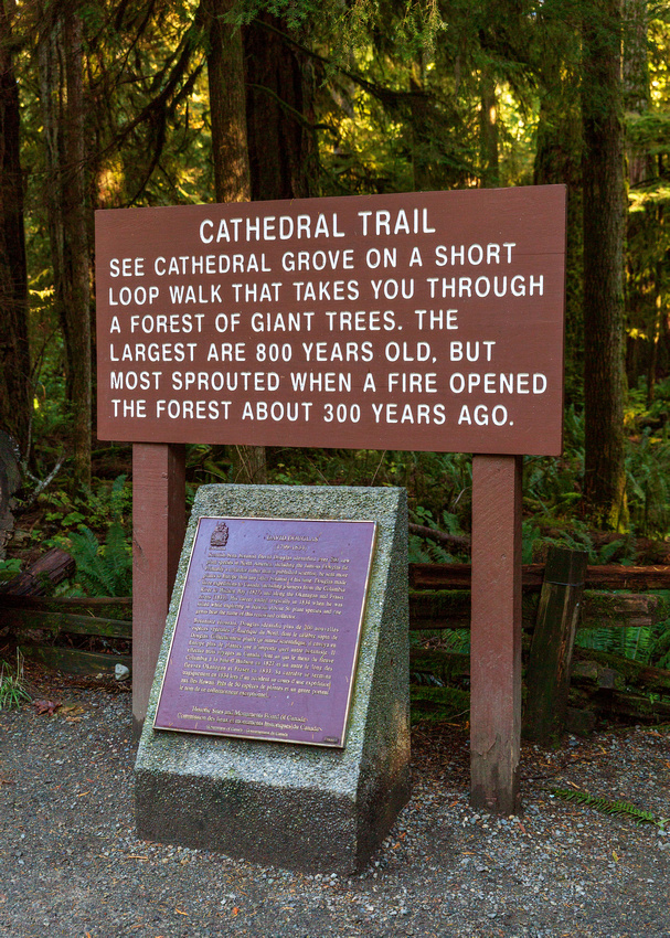 Sign explaining the trail at Cathedral Grove